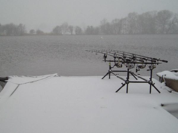 Diverse - picture-12.jpg